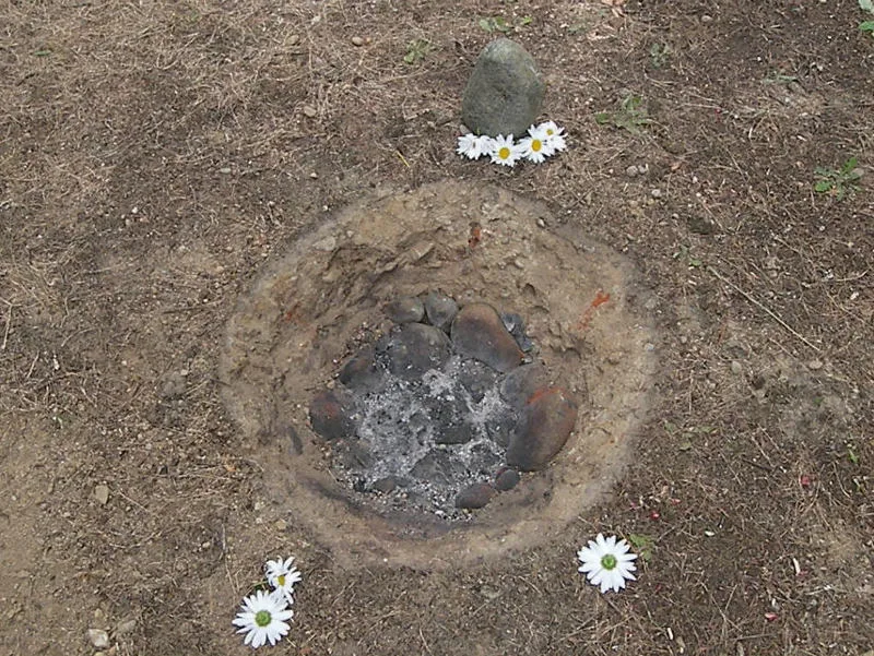 A cleft in the ground with stones at the bottom covered in ash, flowers on the outside, dhuni.