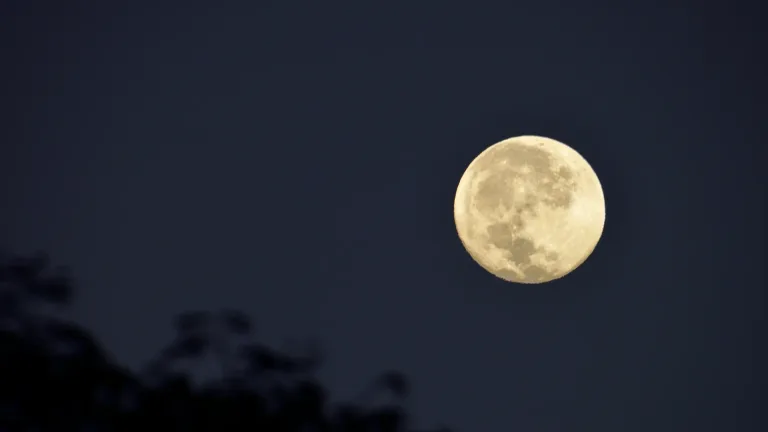moon banner