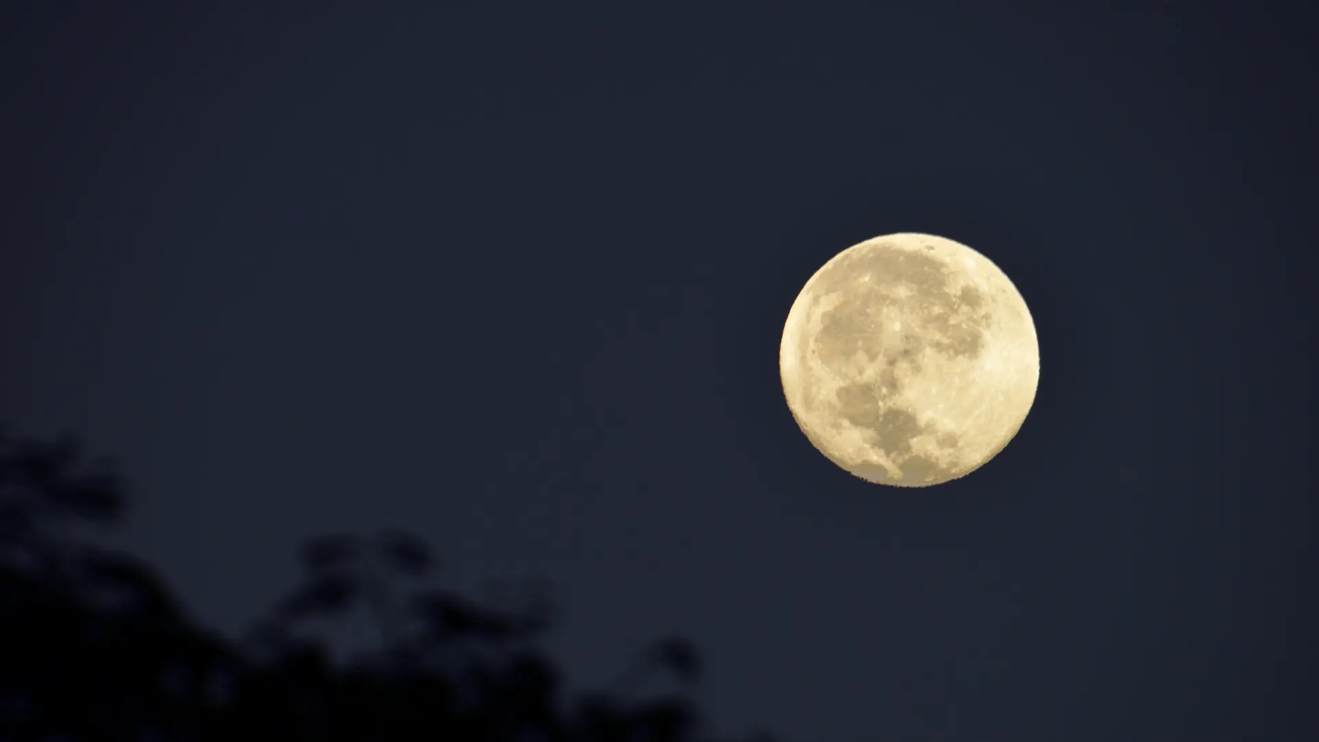 moon banner